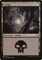 Swamp