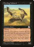 Circling Vultures