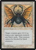 Black Scarab