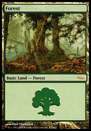 Forest