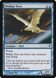 Welkin Tern
