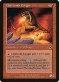 Chartooth Cougar