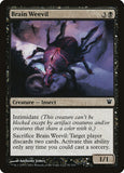 Brain Weevil
