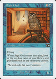 Sage Owl